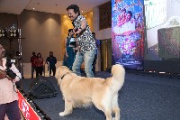 Slumdog Husband Movie Press Meet